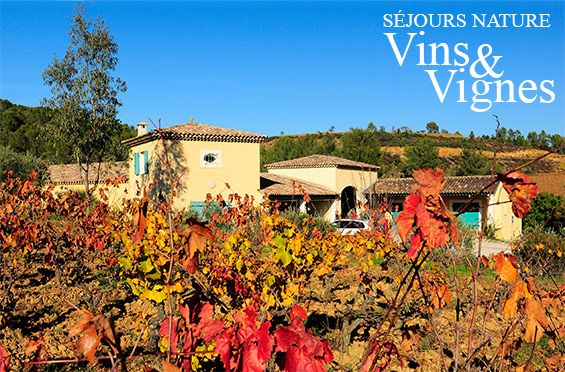 Séjour Nature Vins et Vignes dans le Var