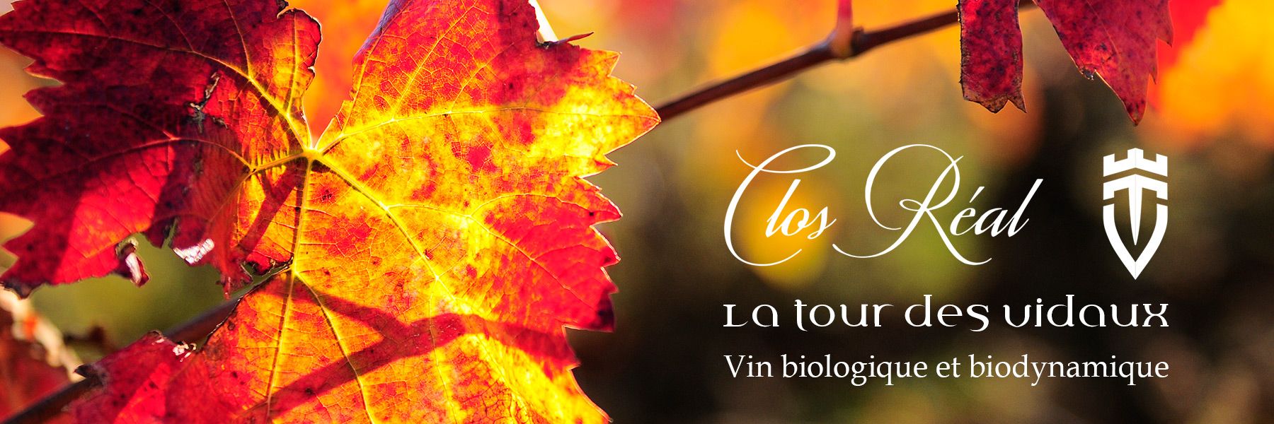 Vin Biologique et Dynamique