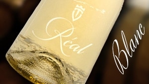 Vin blanc Provence Var - Clos Réal
